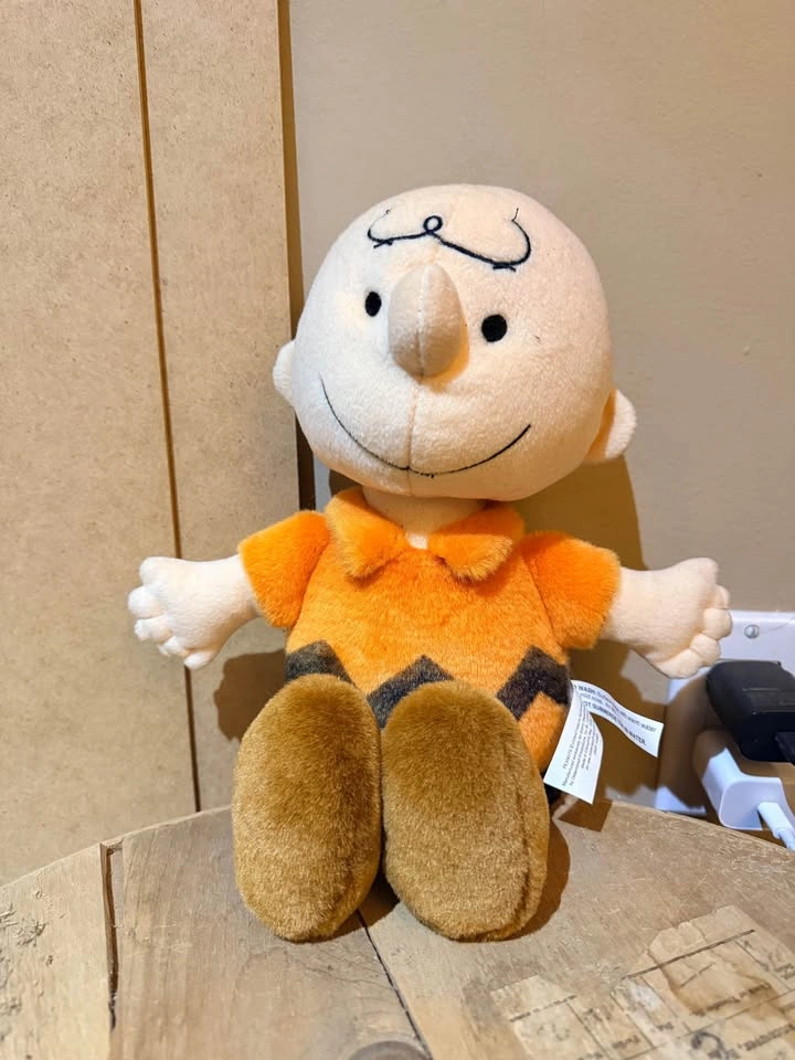 Charlie Brown + Snoopy Characters - photo 2