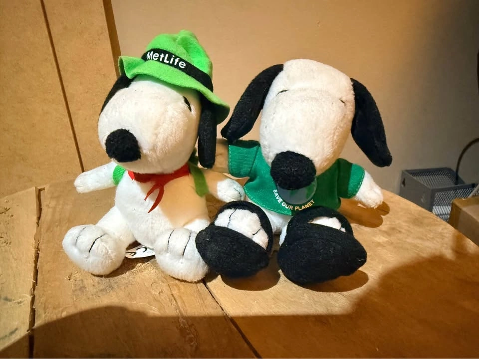 Charlie Brown + Snoopy Characters - photo 3