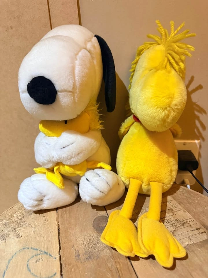 Charlie Brown + Snoopy Characters - photo 5