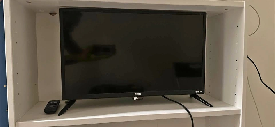 RCA 24 inch HD Roku TV - Discounted moving sale