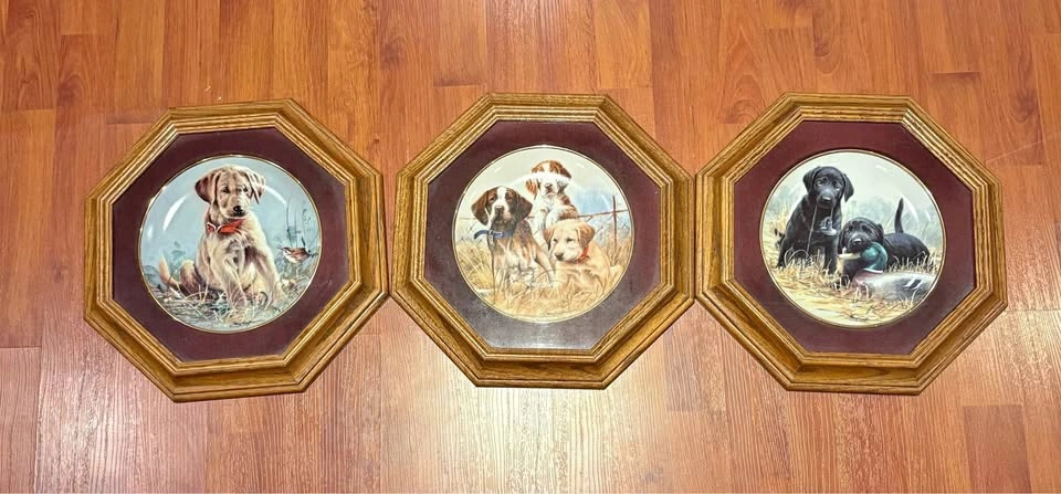 Set of 3 Framed Franklin Mint Puppy Plates - James Killen