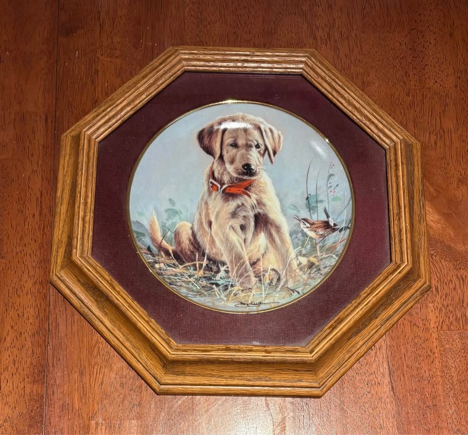 Set of 3 Framed Franklin Mint Puppy Plates - James Killen - photo 2