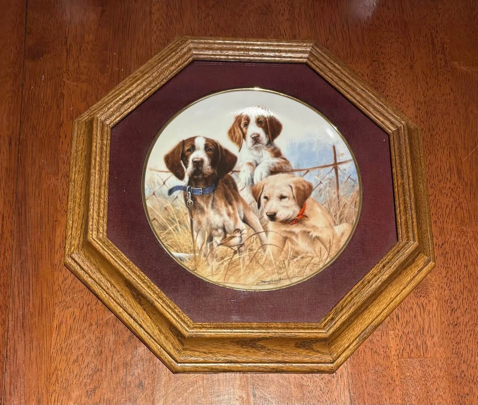 Set of 3 Framed Franklin Mint Puppy Plates - James Killen - photo 3