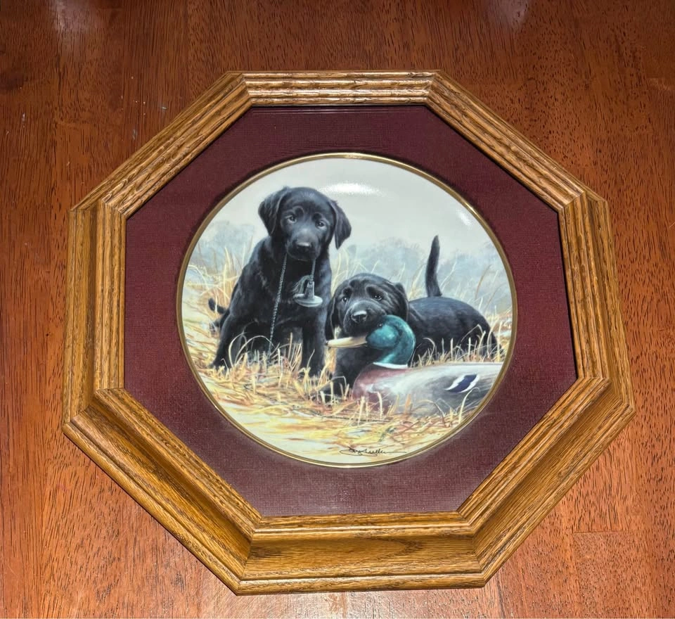 Set of 3 Framed Franklin Mint Puppy Plates - James Killen - photo 4