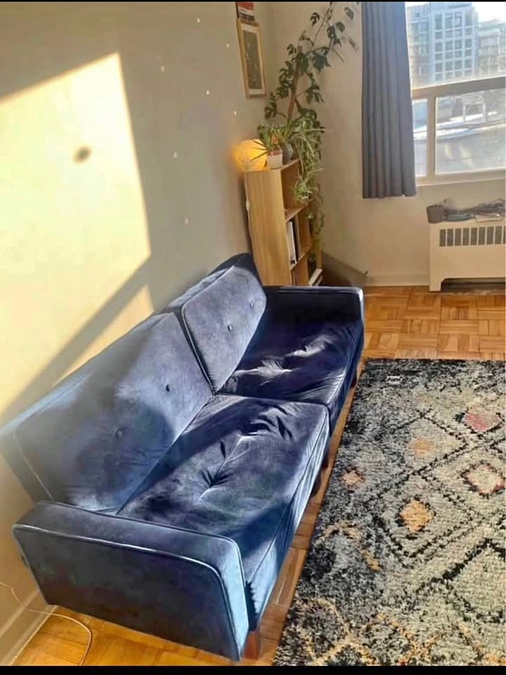 Navy Blue Velvet Futon Sofa