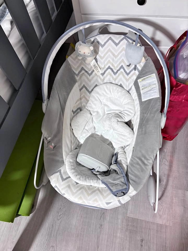 Ingenuity Baby Bouncer