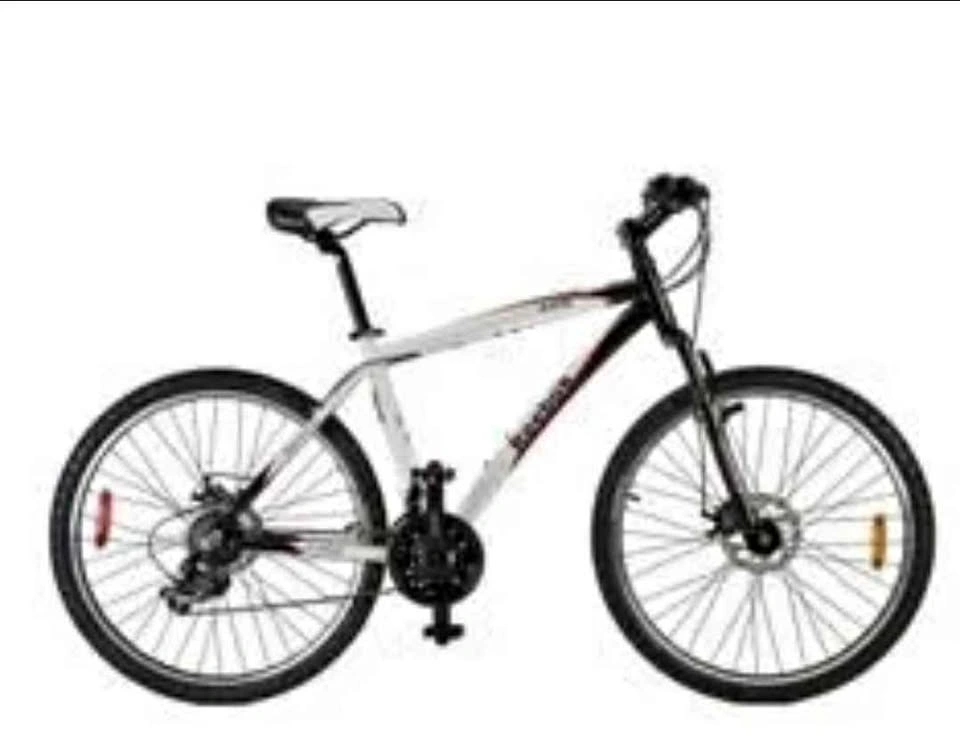 Reebok Axis Mountain Bike