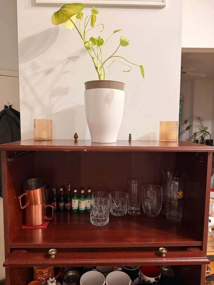 Elegant Antique Dark Wood Bar Cabinet / Display Shelf - photo 5