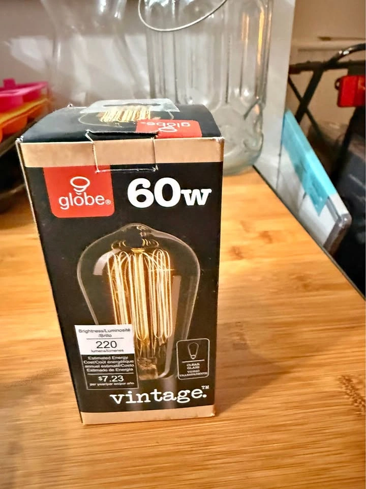 Globe Electric S-Type E26 Vintage Dimmable Light Bulb
