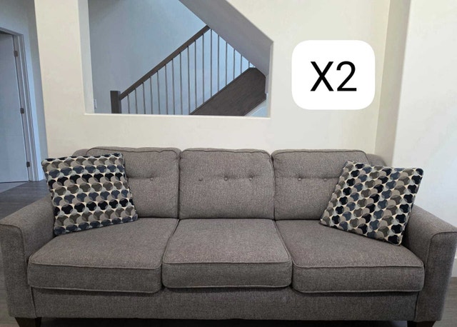 2 sofa couches + 4 pillows