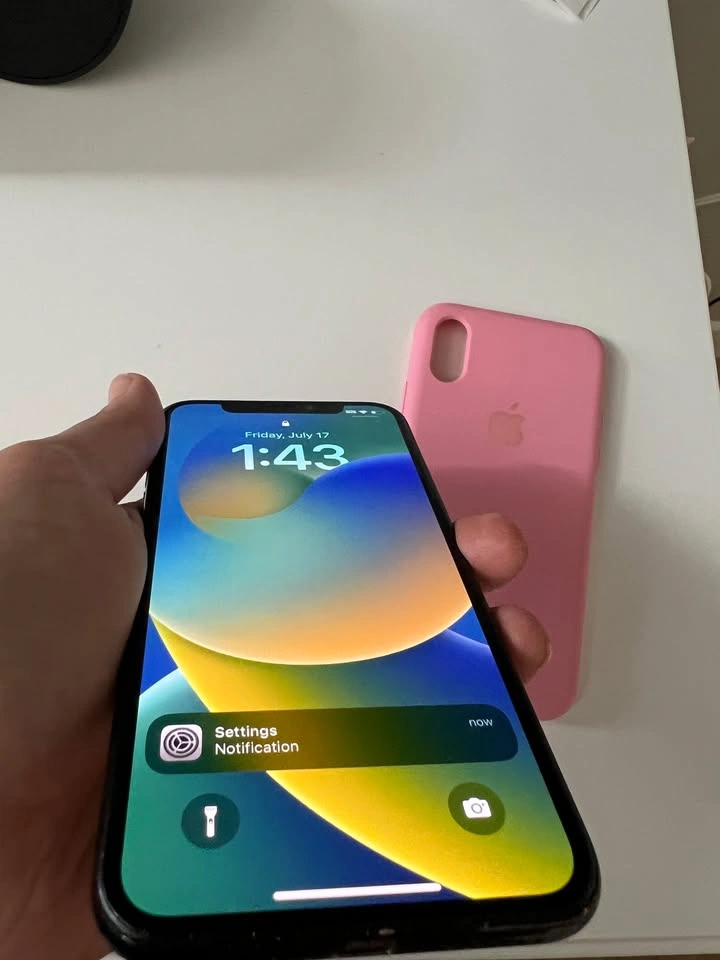 Apple iPhone X 64GB - photo 4