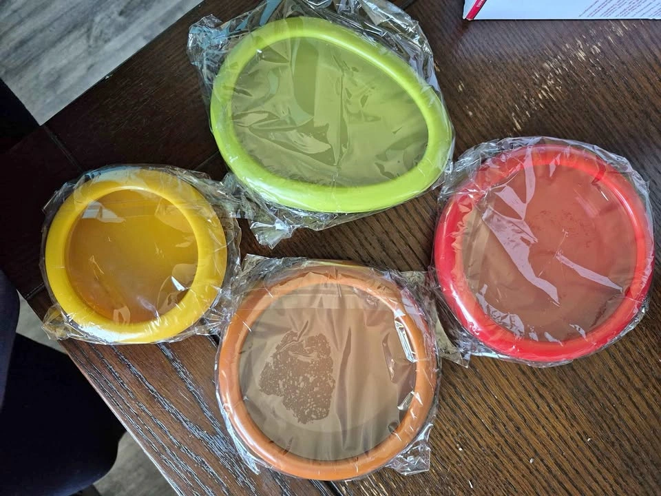 Set of 4 Silicone Stretch Lid Containers