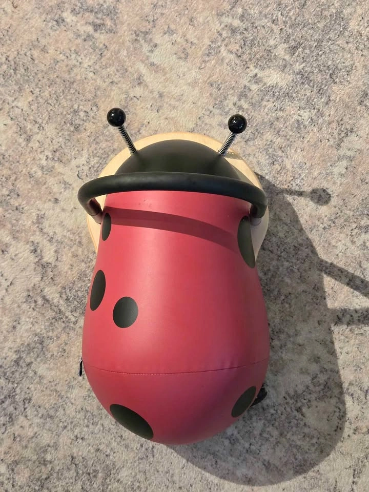 Wheely Bug Ladybug Ride-On – Small (1–1.5 Years) - photo 2