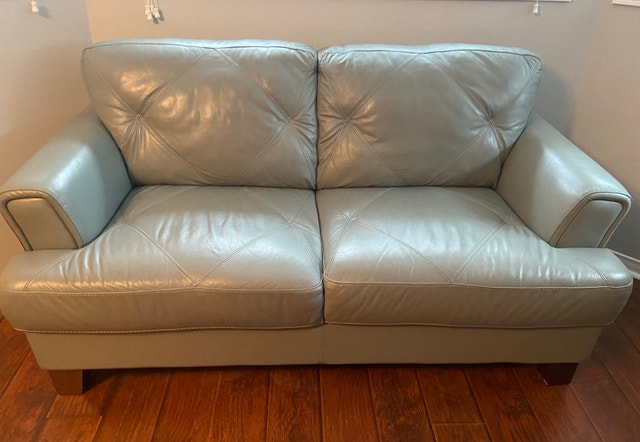 Leather Loveseat - Grey/Mint