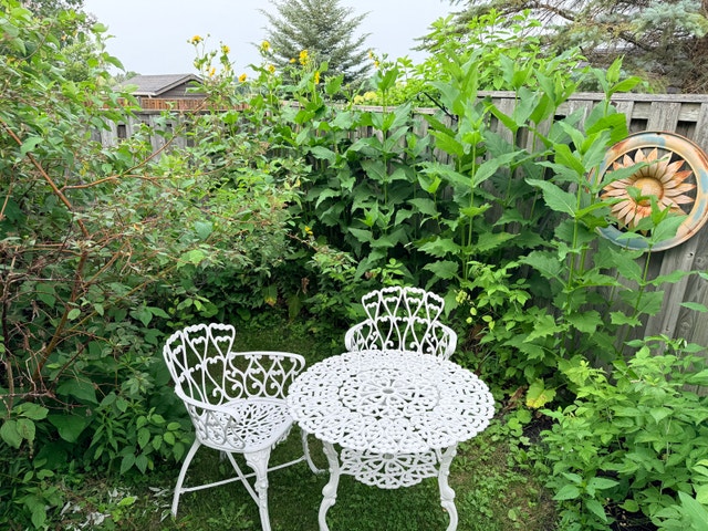Wrought Iron Bistro Set - photo 2