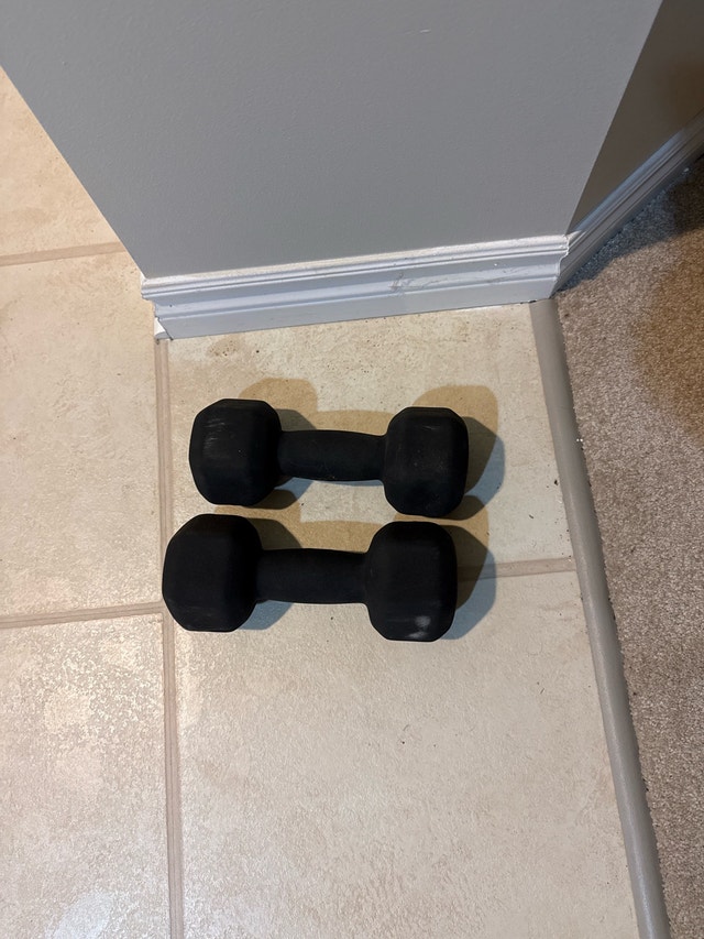 Gym equipment - photo 5