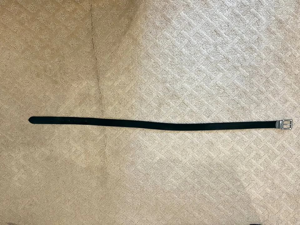 Fossil Belt thumbnail