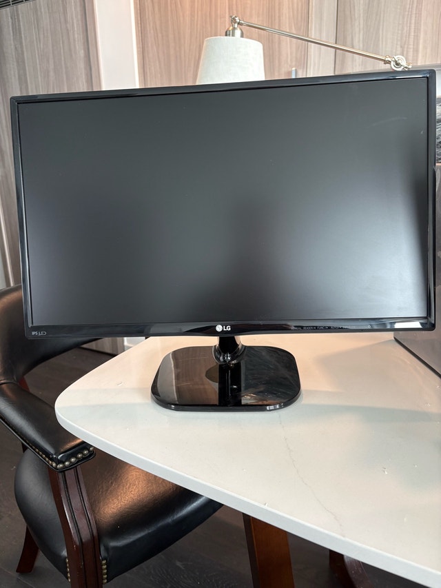 LG 24" LED Monitor