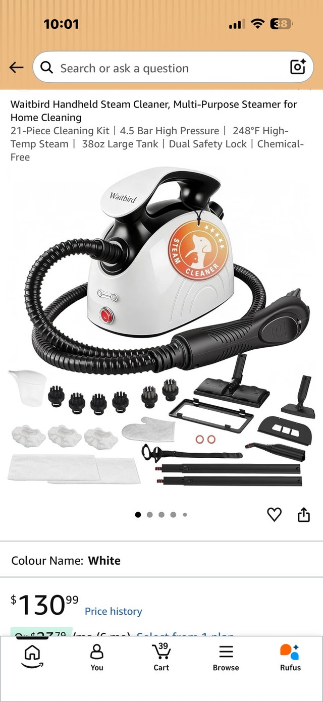 Waitbird Handheld Steam Cleaner