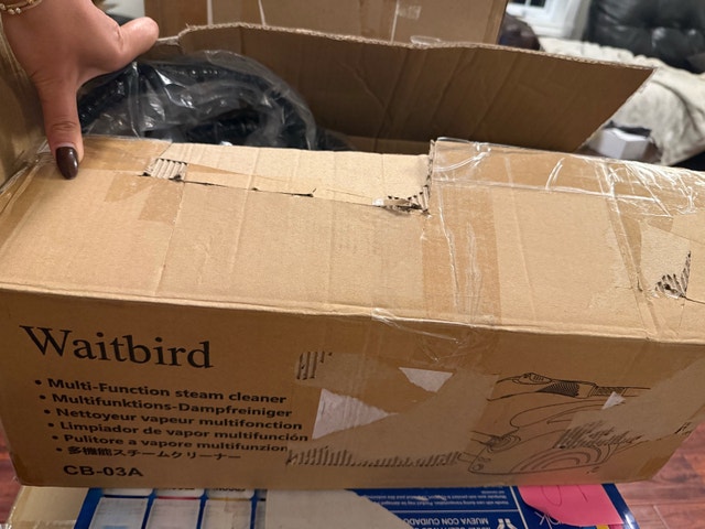Waitbird Handheld Steam Cleaner - photo 4