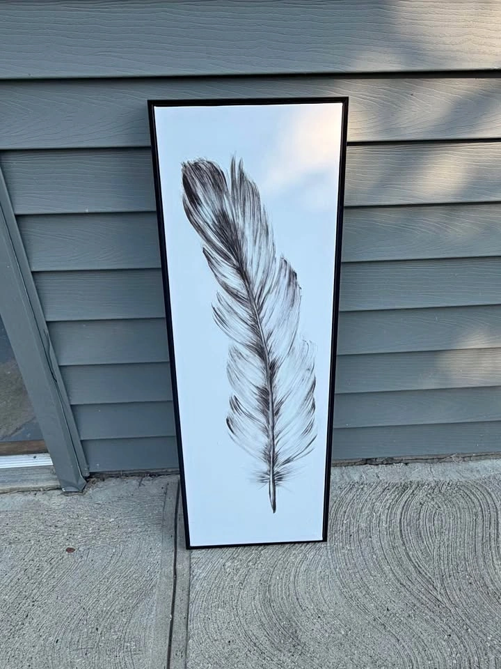 Framed Feather Canvas Wall Art