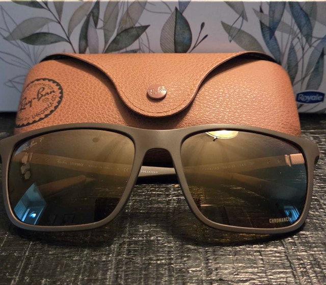 Ray-Ban Liteforce Polarized Sunglasses, Matte Olive with case