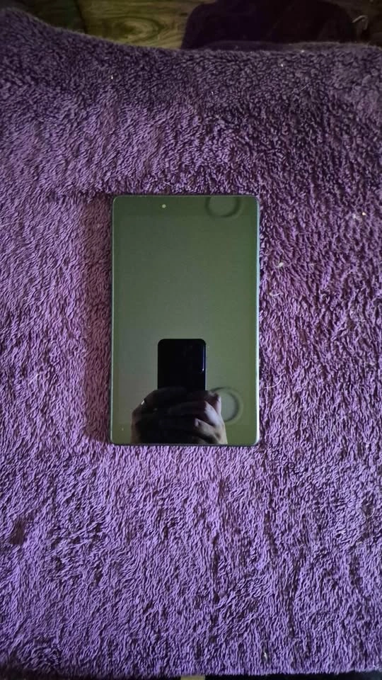 Samsung Galaxy Tab A 8.0 (2019) - photo 2