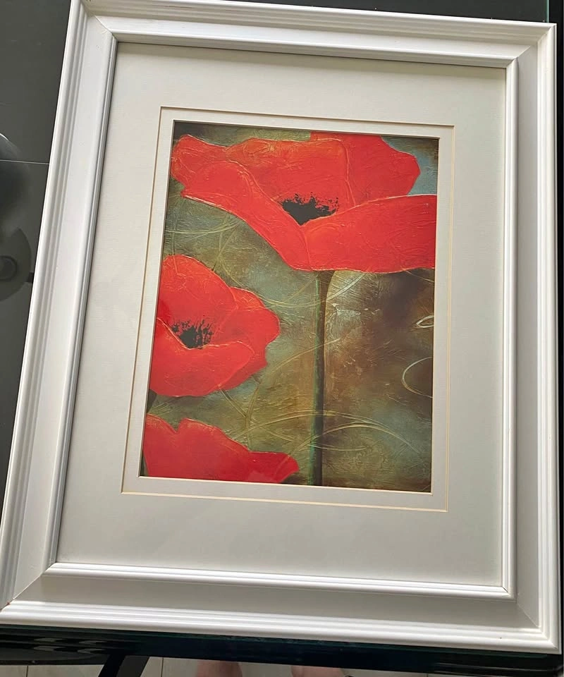 Framed Red Poppy Floral Wall Art