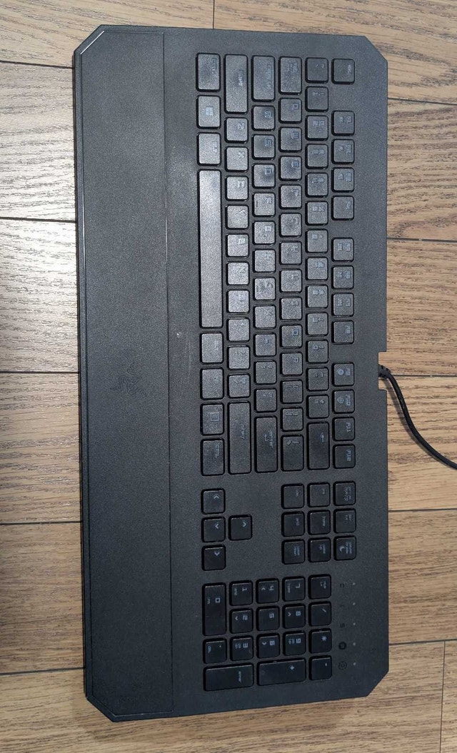 Razer DeathStalker Essential 2014 Gaming Keyboard - photo 2