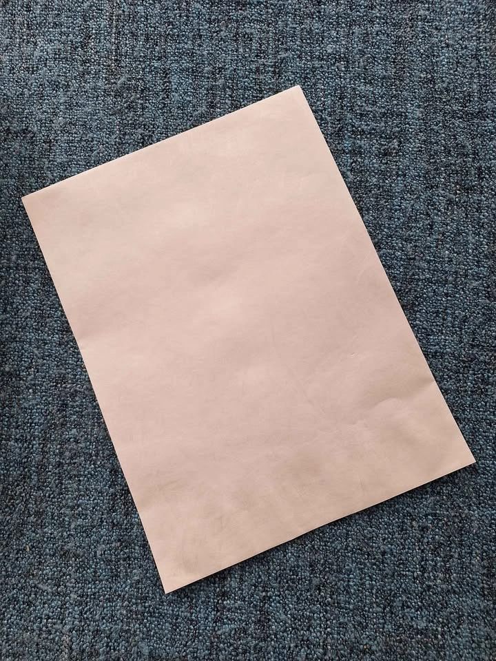 Tyvek 9" x 12" Envelopes, 100 Count - photo 3