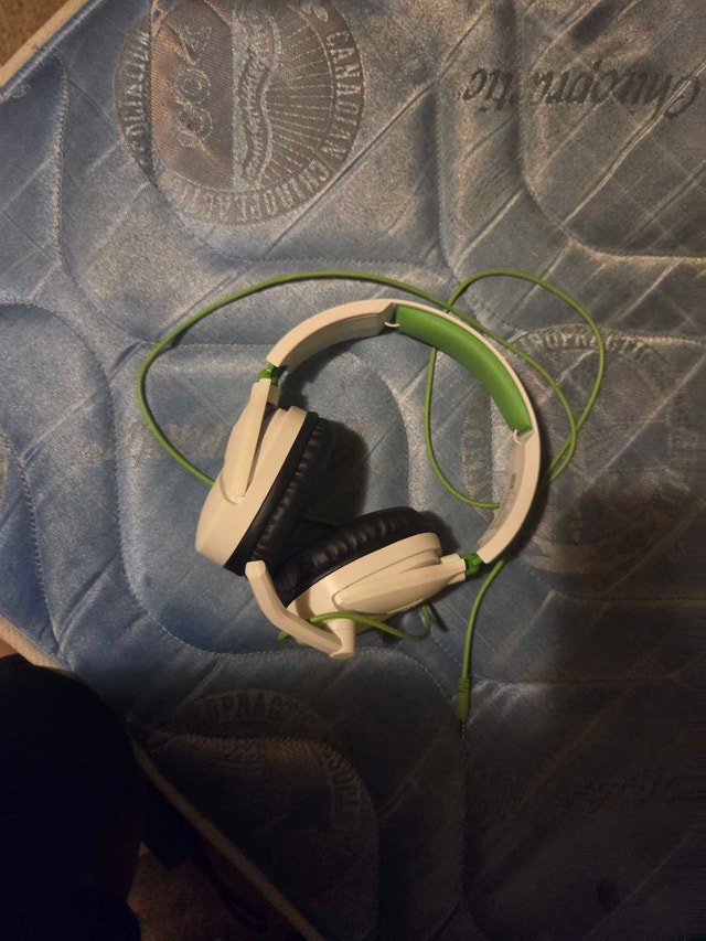 New Headphones with Mic