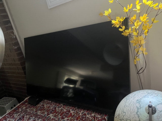 TV Screen