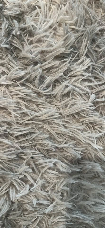 Feathery Carpet - photo 2