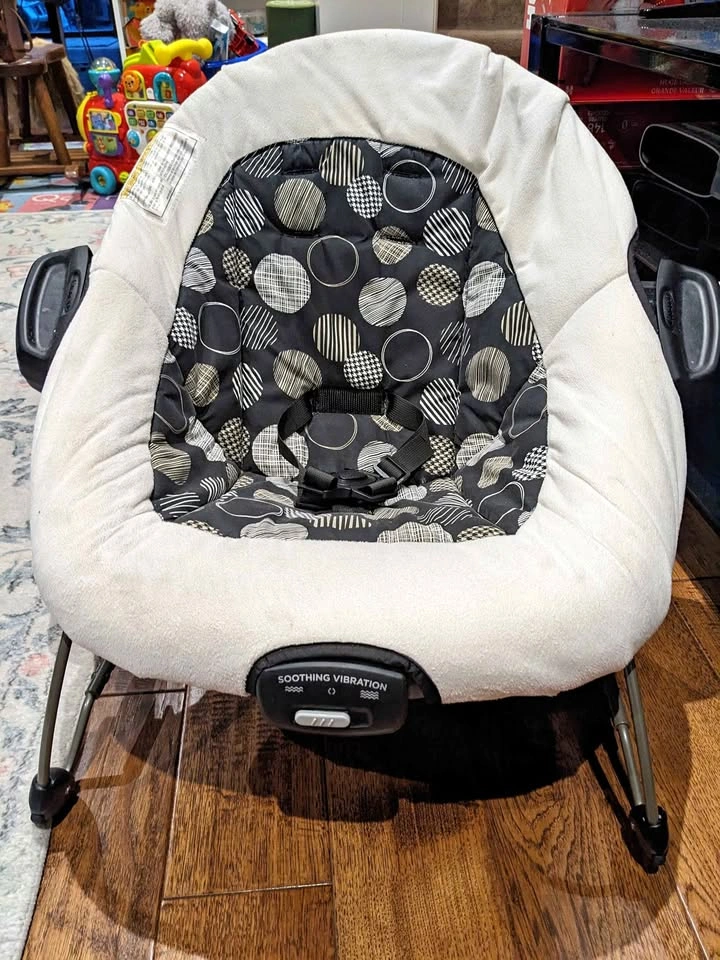 Graco Baby Bouncer