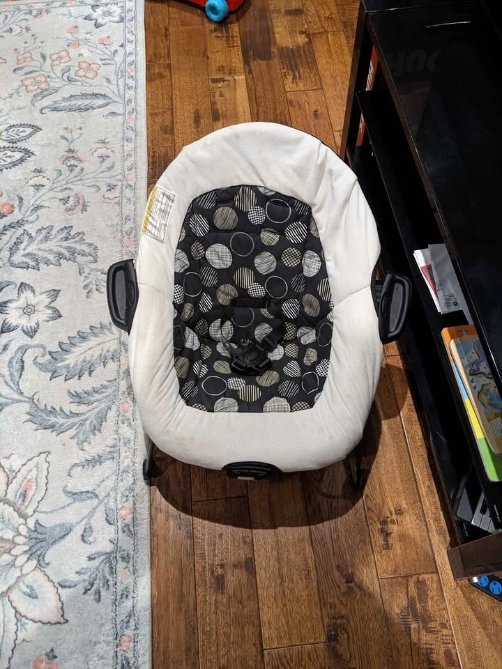 Graco Baby Bouncer - photo 2