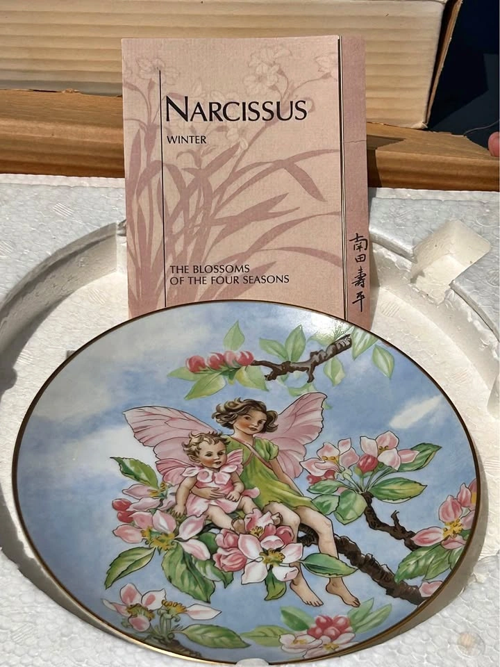 Fairy Collector Plates - Villeroy & Boch Flower Fairies Plates