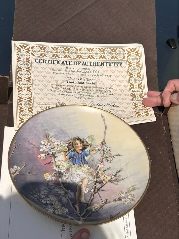 Fairy Collector Plates - Villeroy & Boch Flower Fairies Plates - photo 3