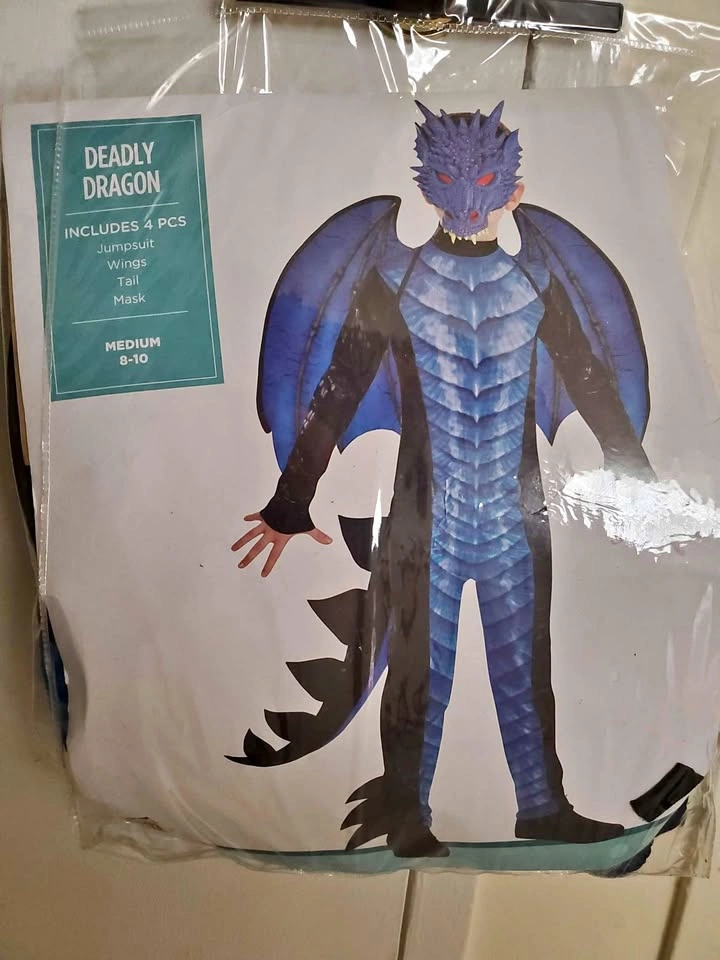 Dragon Suit Costume