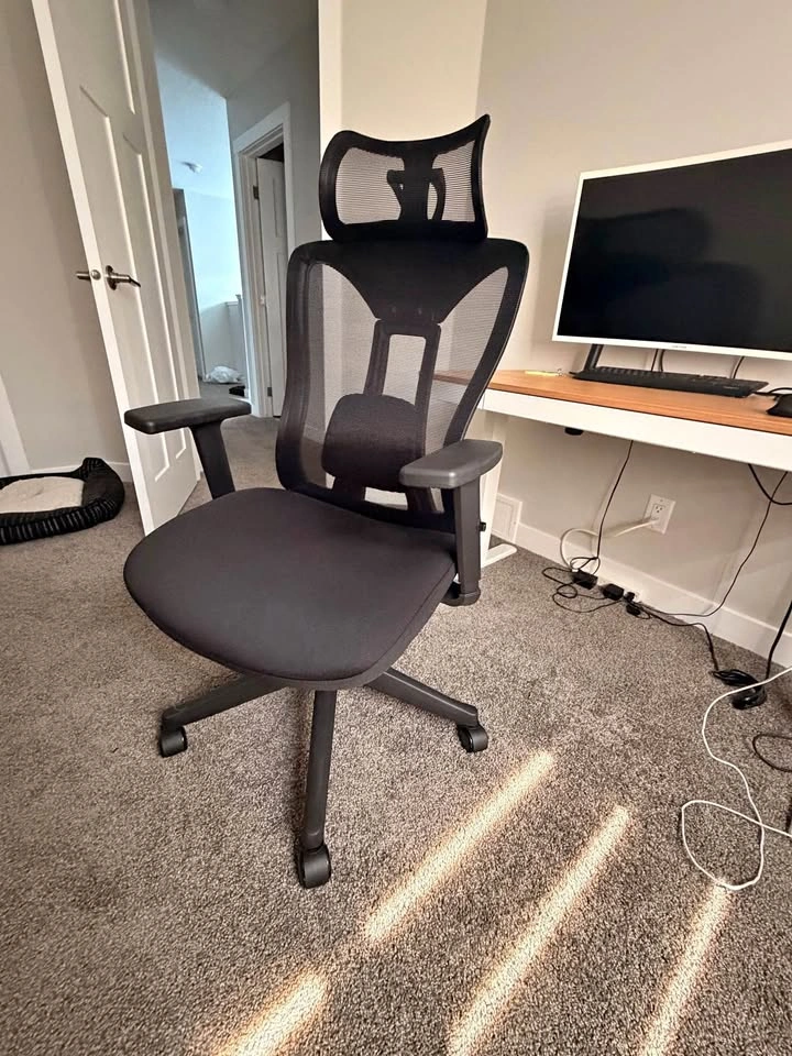 Ergonomic Office Chair