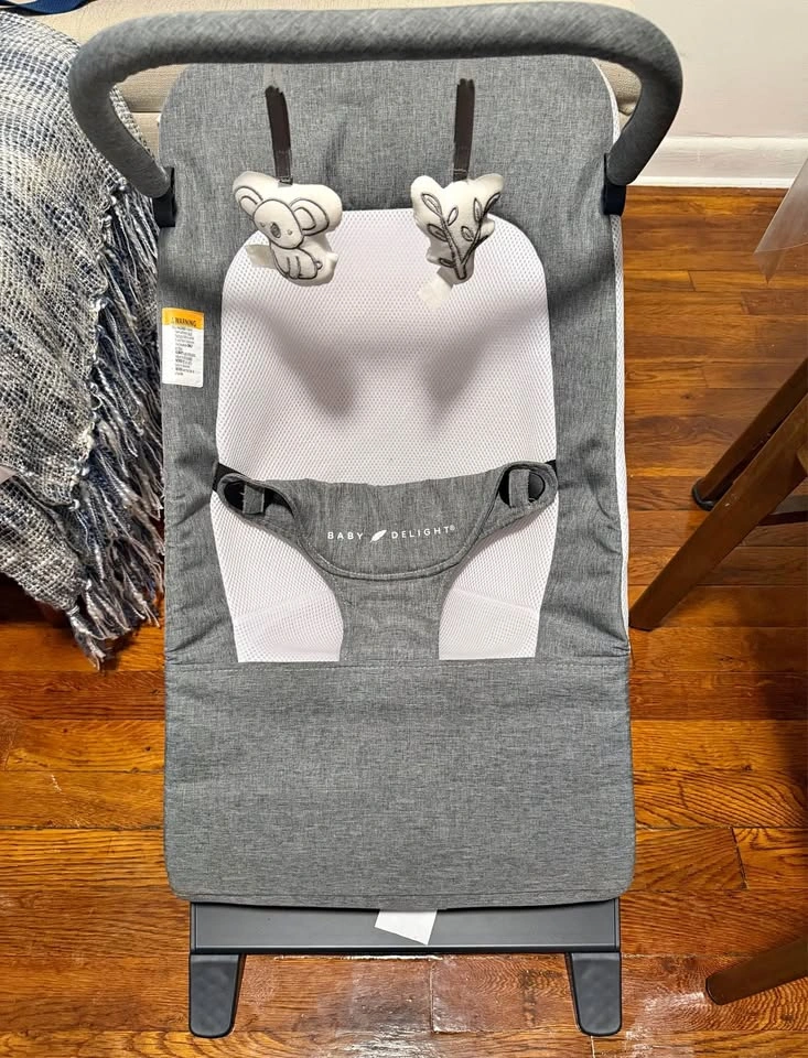 Baby Delight Alpine Deluxe Portable Bouncer (Charcoal Tweed)