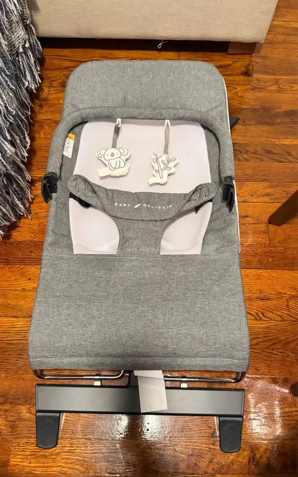 Baby Delight Alpine Deluxe Portable Bouncer (Charcoal Tweed) - photo 5