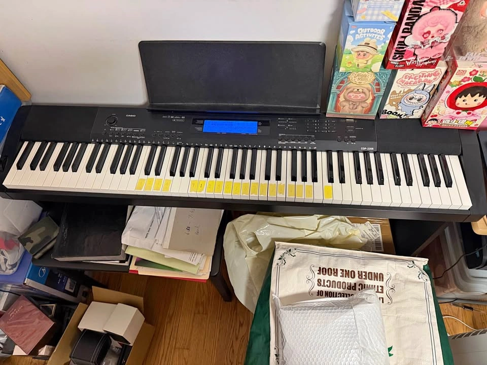 Casio CDP-235R Digital Piano