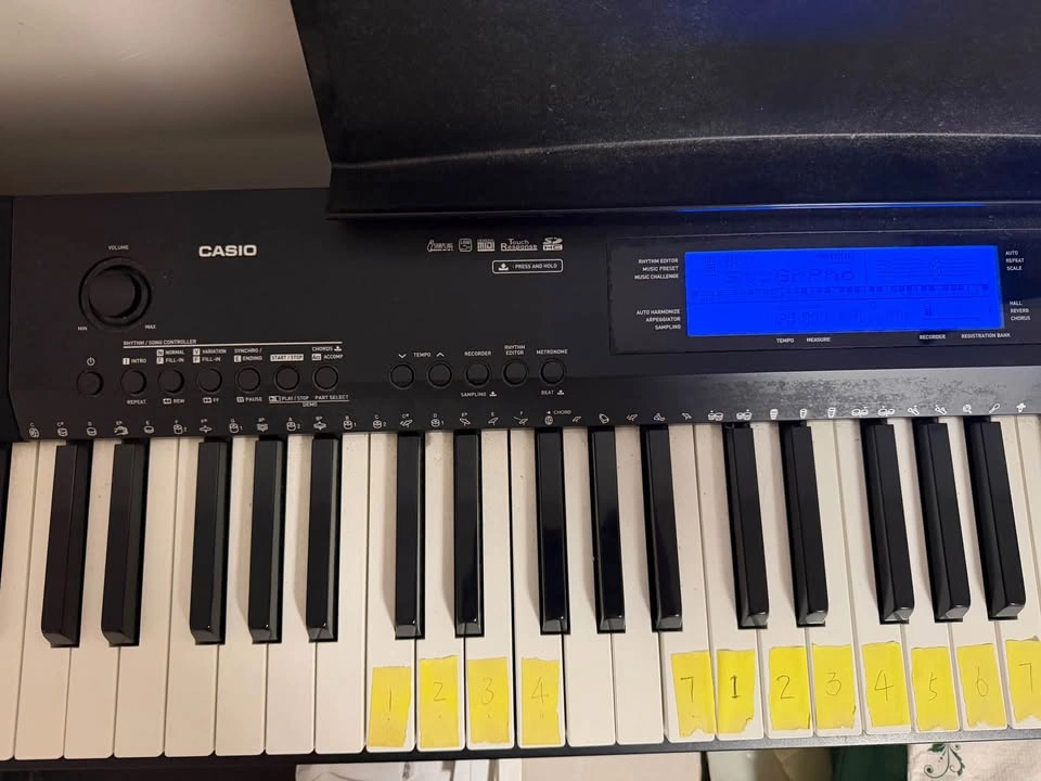 Casio CDP-235R Digital Piano - photo 2