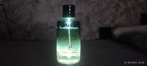 Salvo by Maison Alhambra 3.4 oz / 100 ml EDP Cologne for Men - photo 3