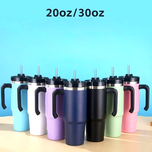 Stainless Steel Insulated Water Bottle With Straw Carry Handle