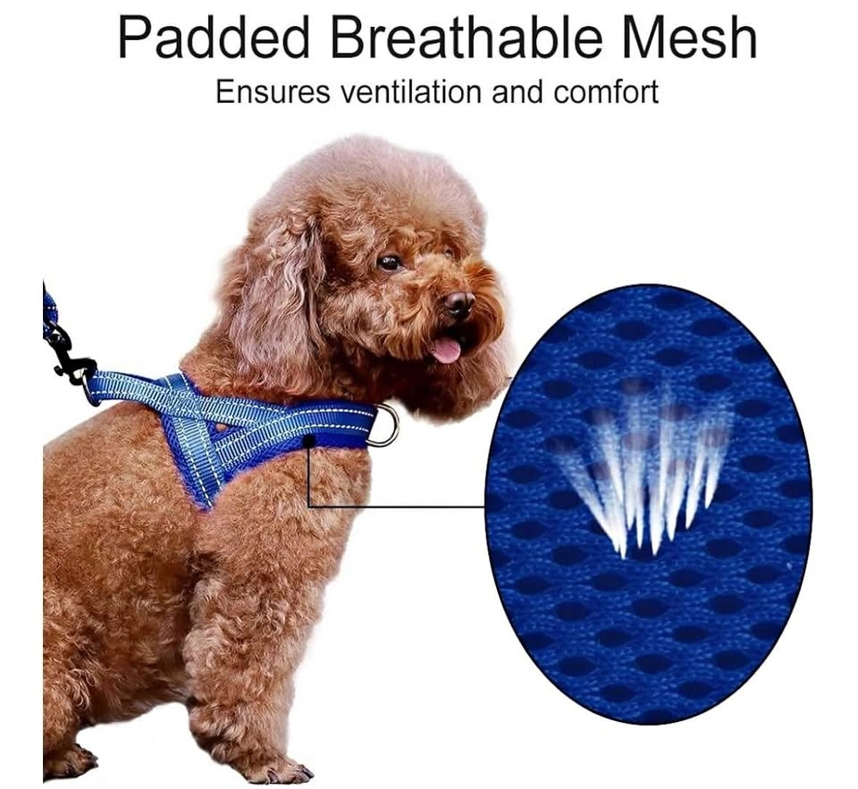 NEW no pull dog harness (size S / navy blue)