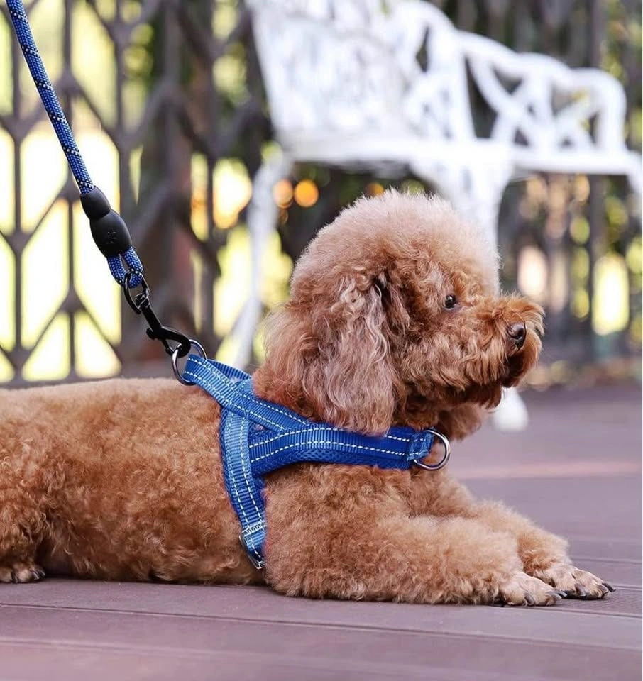 NEW no pull dog harness (size S / navy blue) - photo 5