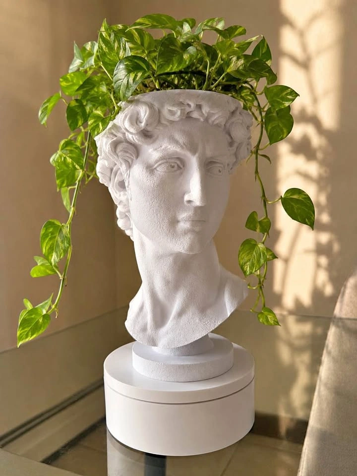 3D printed aesthetic David Head planter