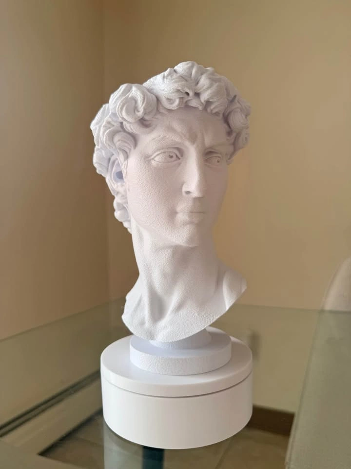 3D printed aesthetic David Head planter - photo 2