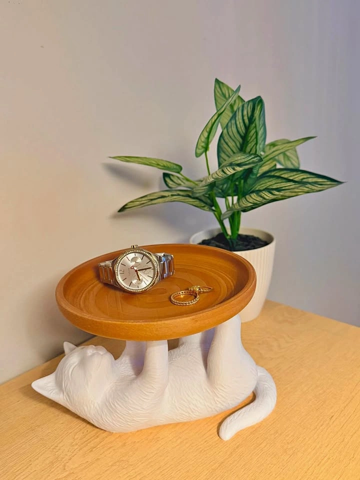 3D Printed Cat catch Tray